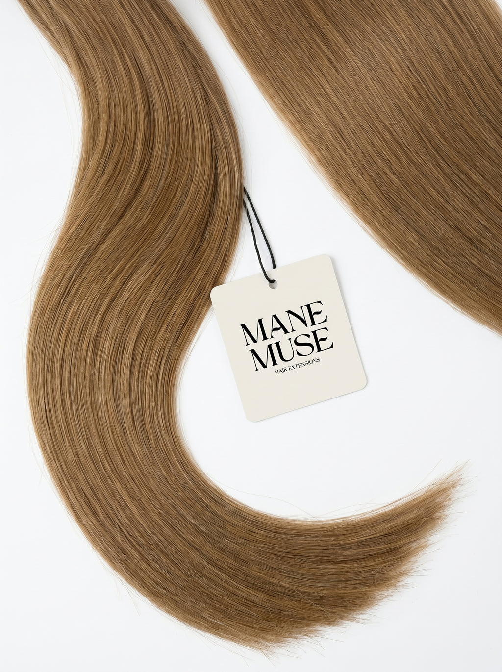 Toasted Hazelnut #6 - Genius Weft